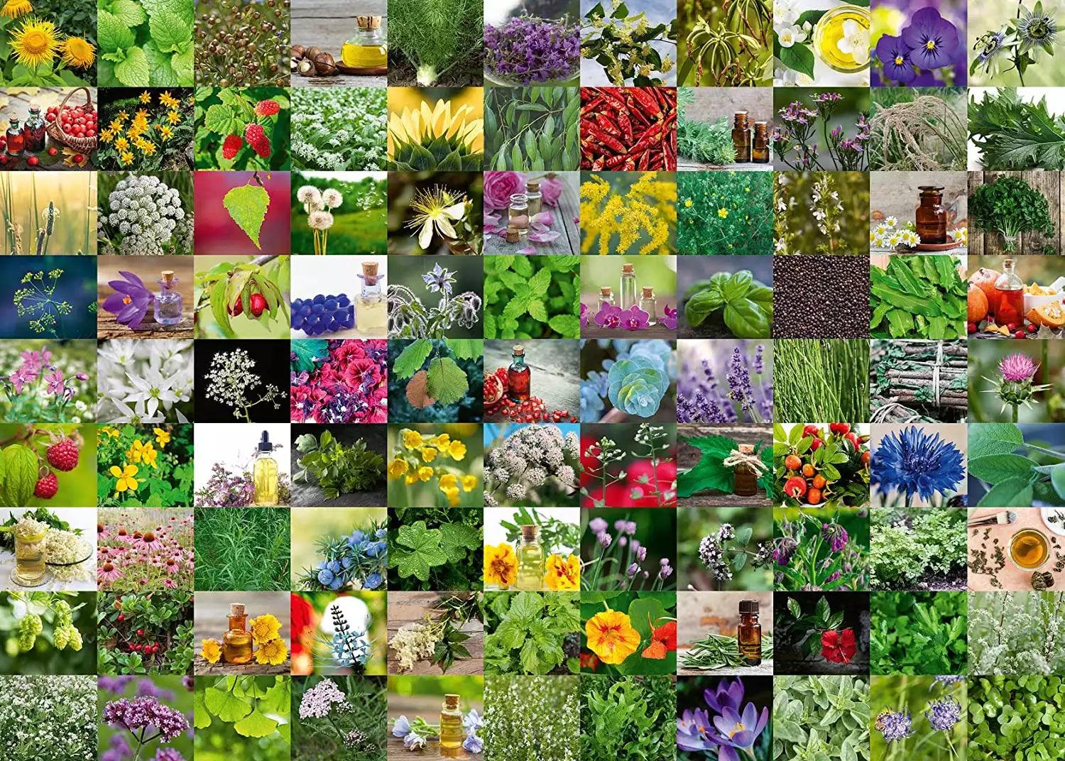 Ravensburger 99 Herbs and Spices Jigsaw Puzzle 1000 Pieces - Eclipse Games Puzzles Novelties