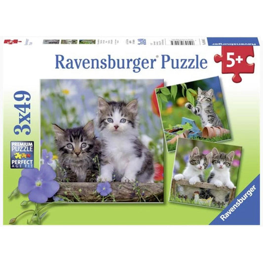 Ravensburger Tiger Kittens 3x49 Pieces Jigsaw Puzzle - Eclipse Games Puzzles Novelties