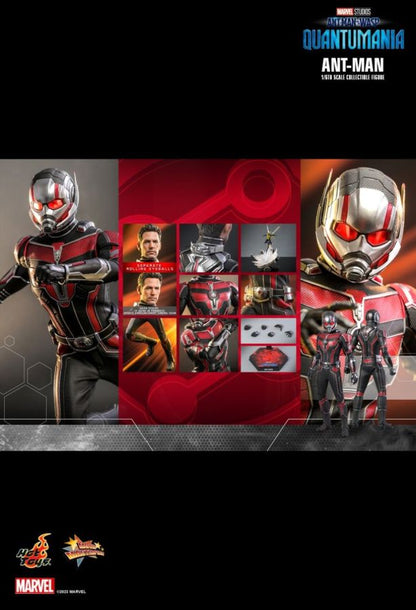 Ant-Man and the Wasp: Quantumania - Ant-Man 1:6 Scale Collectable Action Figure