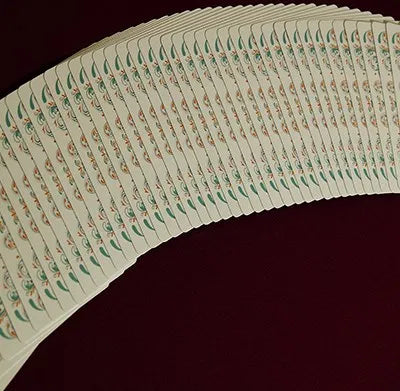 Blossom Spring Edition Playing Cards