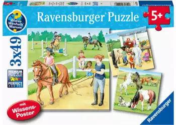 Ravensburger A Day at the Stables 3x49 Pieces Jigsaw Puzzle - Eclipse Games Puzzles Novelties