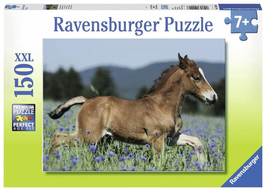 Ravensburger Foal In The Meadow 150 Pieces Jigsaw Puzzle - Eclipse Games Puzzles Novelties
