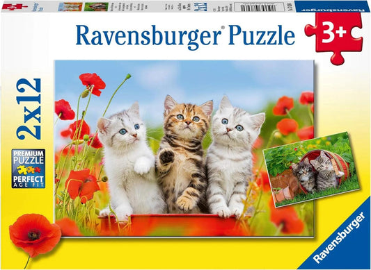 Ravensburger Kitten Adventures 2x12 Pieces Jigsaw Puzzle - Eclipse Games Puzzles Novelties